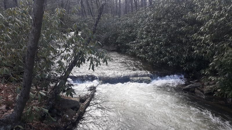 Trout Fishing Has A Quiet Following