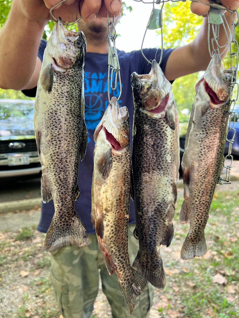 Trout fishing gives the park its famous charm Trout fishing gives the park its famous charm