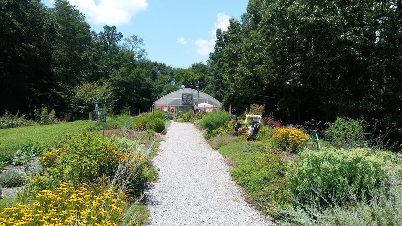Tucked Away in Clinton, Erin's Meadow Herb Farm Feels Like a Hidden Tennessee Gem