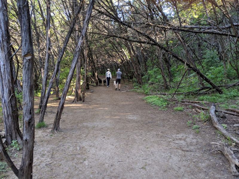 Turkey Creek Trail (Austin)
