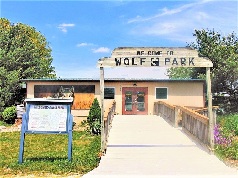 A Walk Into Open Country and Wolf Territory A Walk Into Open Country and Wolf Territory