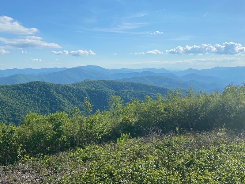 Unaka Mountain Wilderness, Unicoi