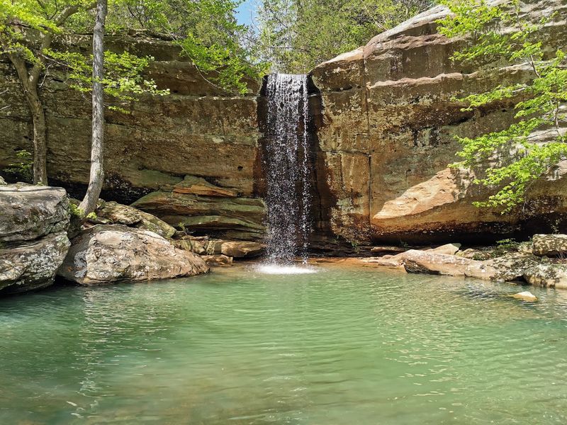 Jackson Falls Trail