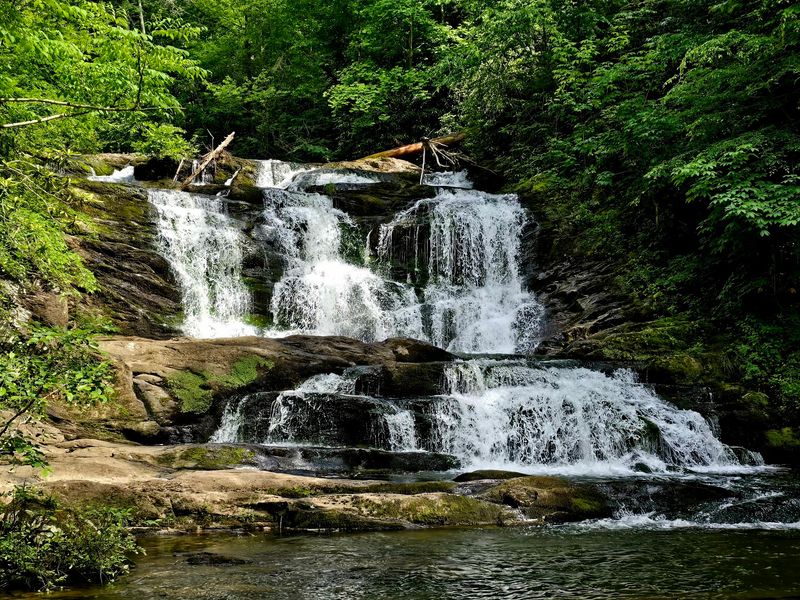 Cherokee National Forest Provides Miles of Shaded Hiking Trails