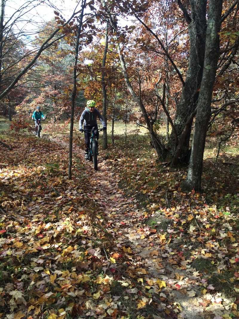 Vasa Singletrack Vasa Singletrack