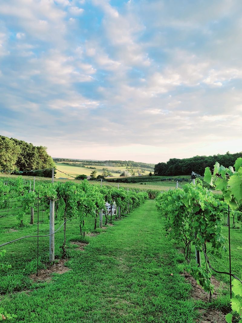 Vineyard Seats With Big Pennsylvania Views