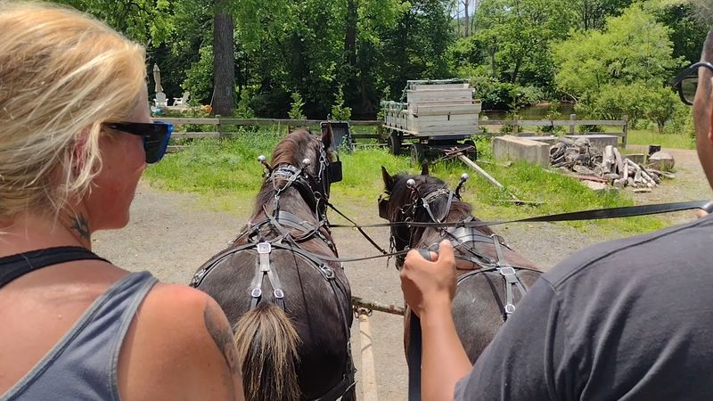 Wagon Rides and Riding Lessons Offer More Ways to Meet the Horses