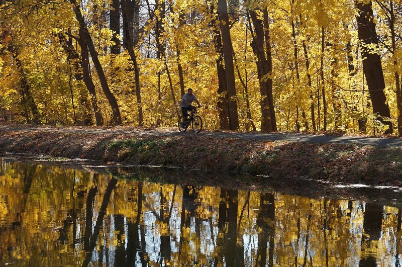 Walk or Bike Along the Delaware and Raritan Canal Walk or Bike Along the Delaware and Raritan Canal
