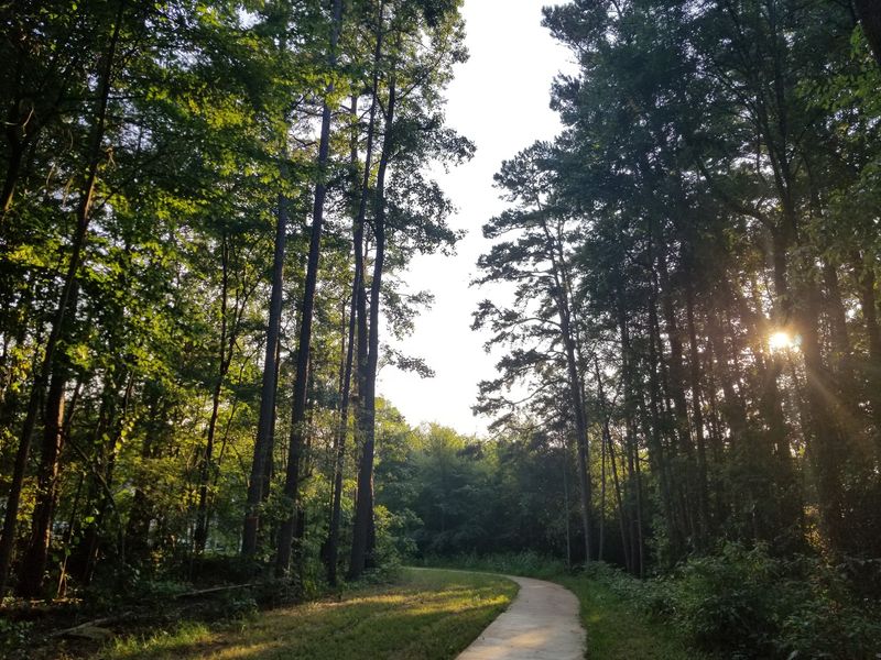 Walking Trails Give You Something to Do Between Games