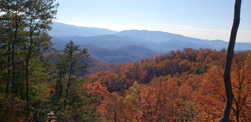 Walland, Tennessee Walland, Tennessee