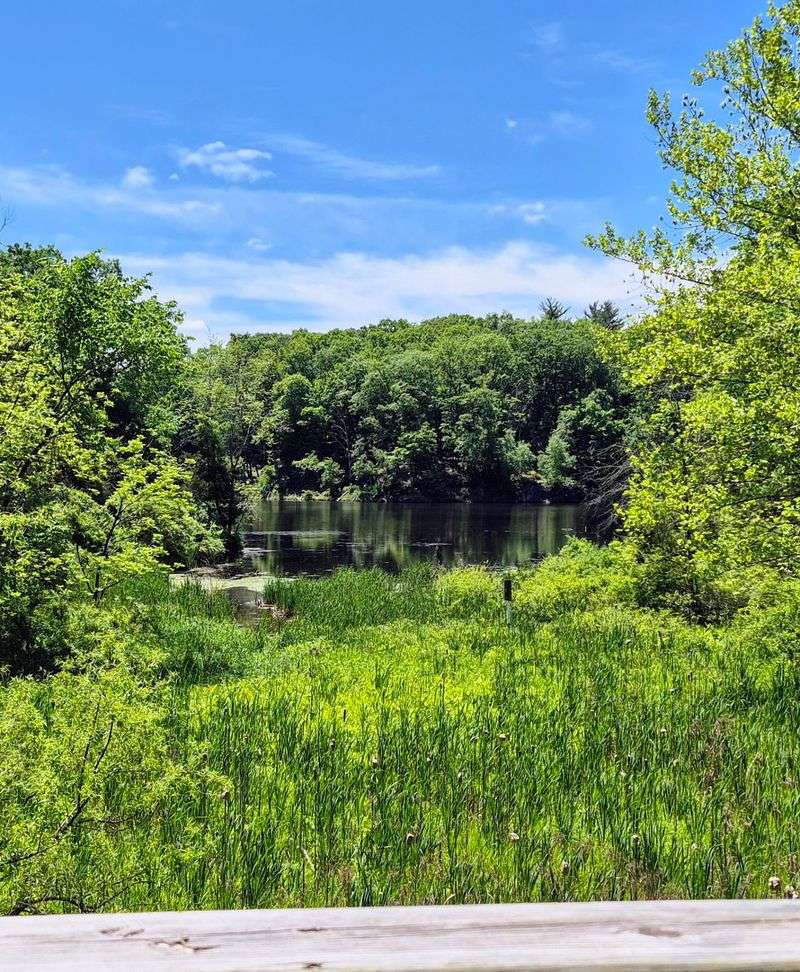 Washington Valley Park - Bridgewater Washington Valley Park - Bridgewater