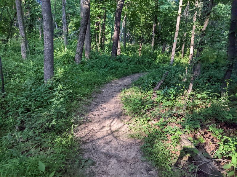 Washington Valley Red Trail - Washington Valley Park Washington Valley Red Trail - Washington Valley Park