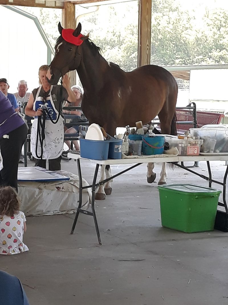 Watch for Twister the Painting Horse
