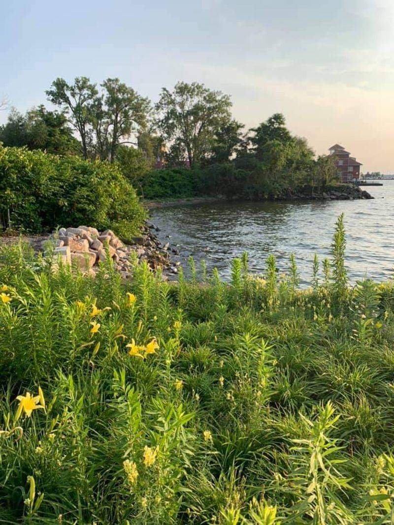 Water, Wildlife, and Quiet Corners Offer a Softer Side of Erie