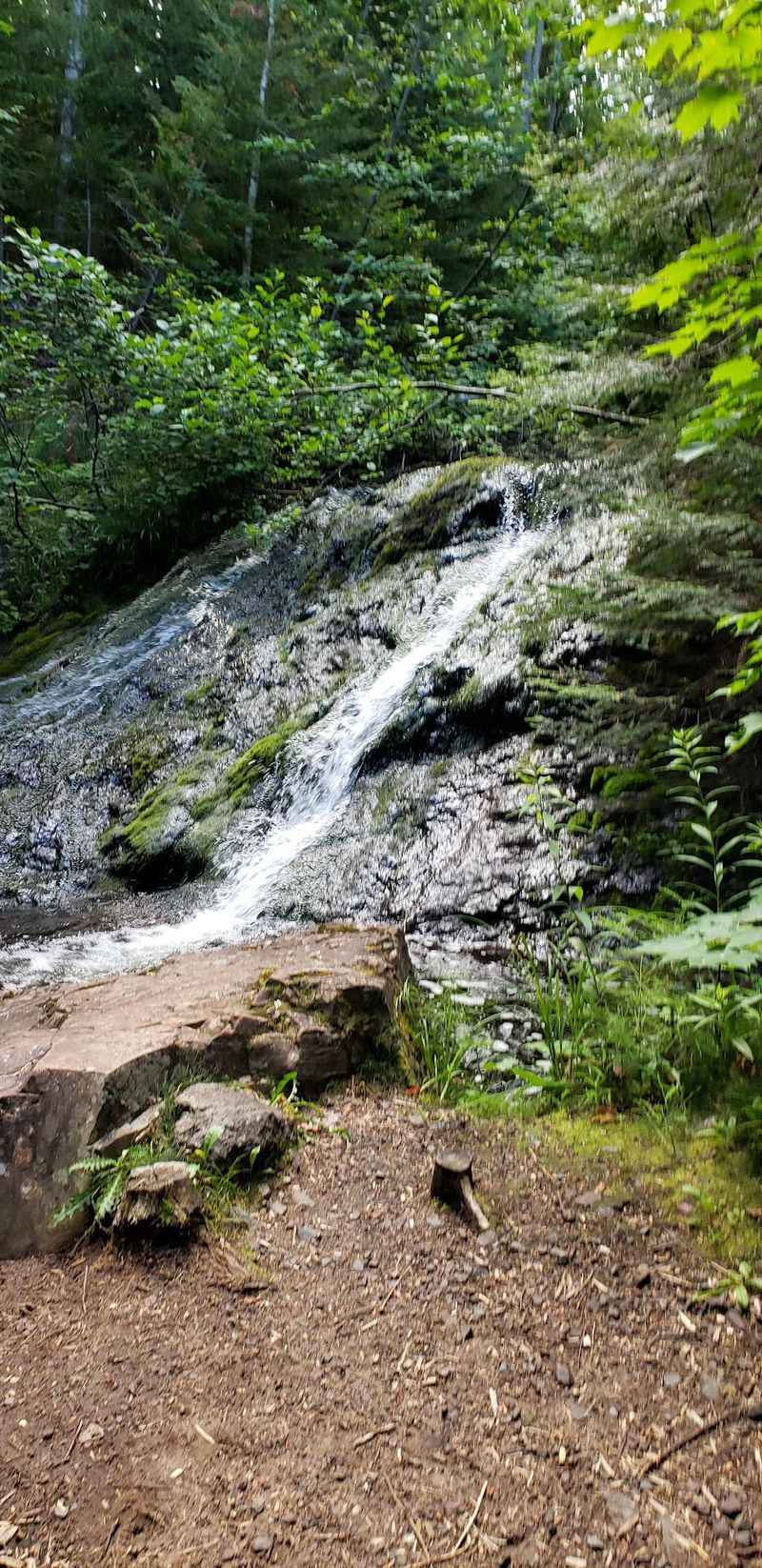 Water, Woods, and Quiet Side Paths