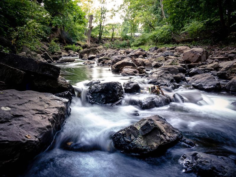 Waterfalls Wildlife and Woodland Views Waterfalls Wildlife and Woodland Views