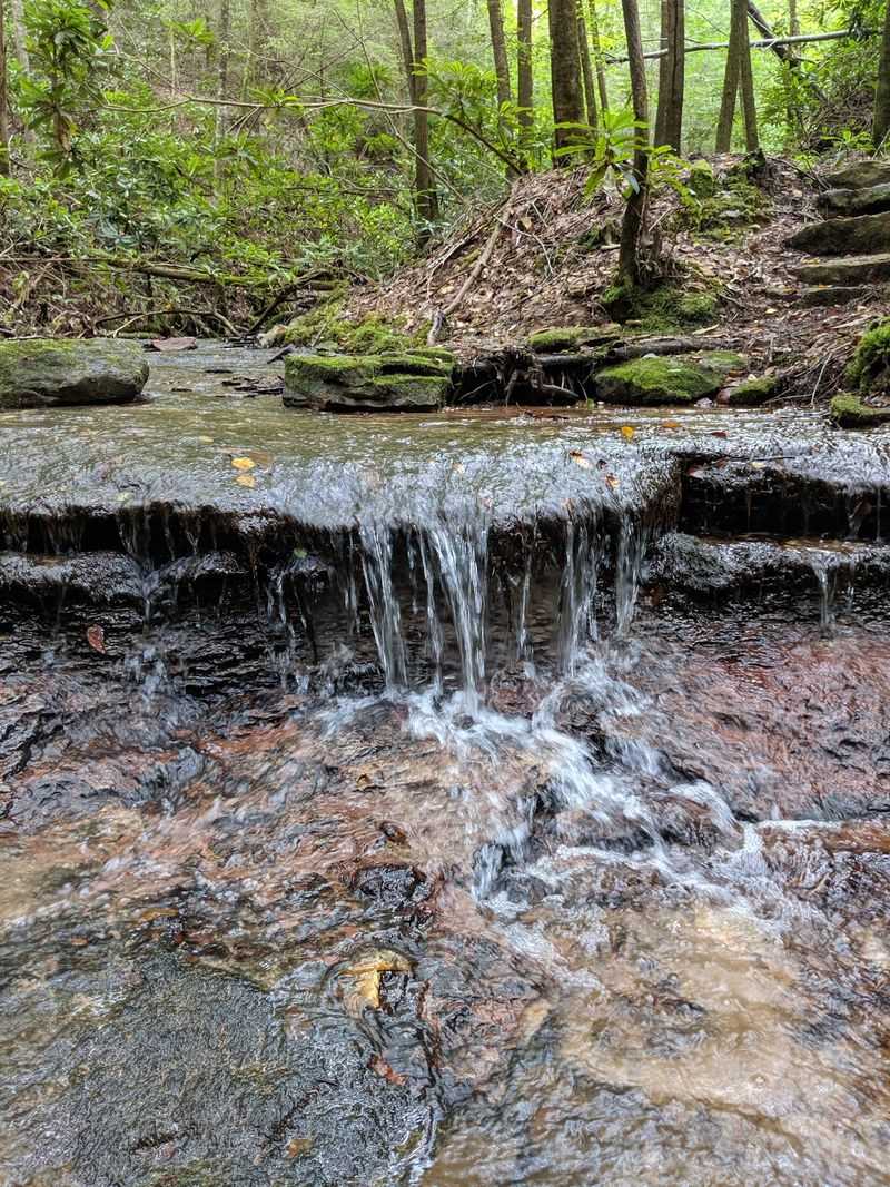 Waterfalls and Creeks Make the Canyon Even More Magical