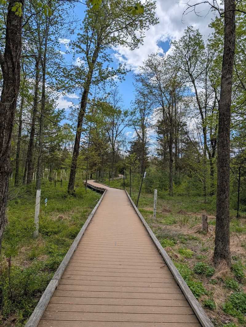 Watershed Reserve Boardwalk - Hopewell Township