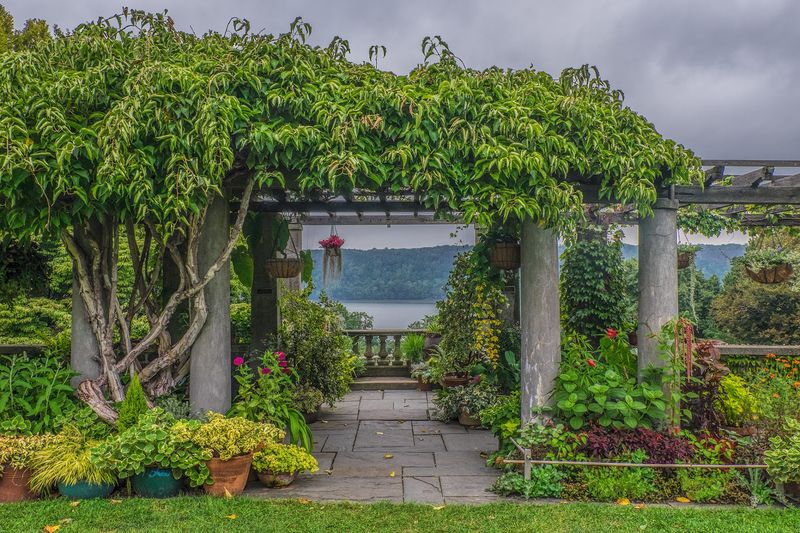 Wave Hill Public Garden & Cultural Center (Bronx)