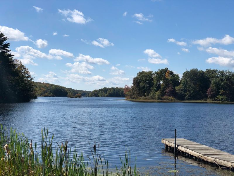 Wawayanda State Park - Hewitt Wawayanda State Park - Hewitt
