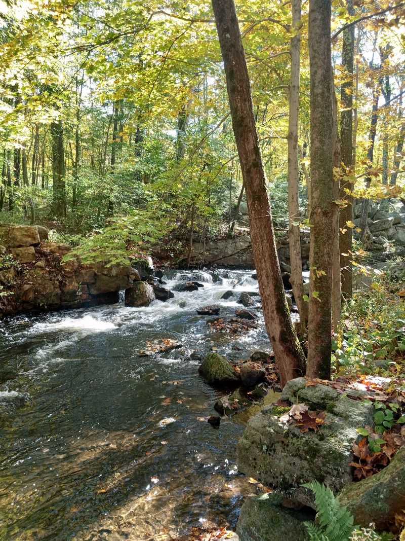 Wawayanda State Park Is a Wild Corner of Northern New Jersey Wawayanda State Park Is a Wild Corner of Northern New Jersey