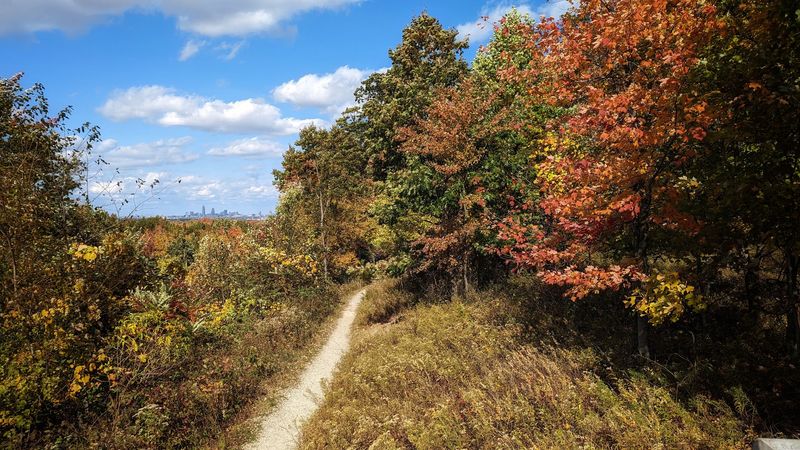 West Creek Reservation, Parma