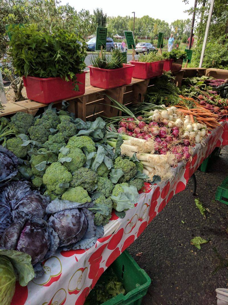 West Windsor Community Farmers Market - Princeton Junction