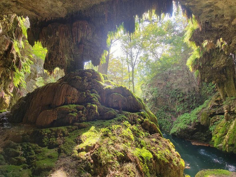 Westcave Outdoor Discovery Center (Round Mountain)