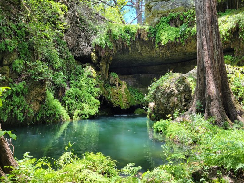 Westcave Outdoor Discovery Center (Round Mountain)