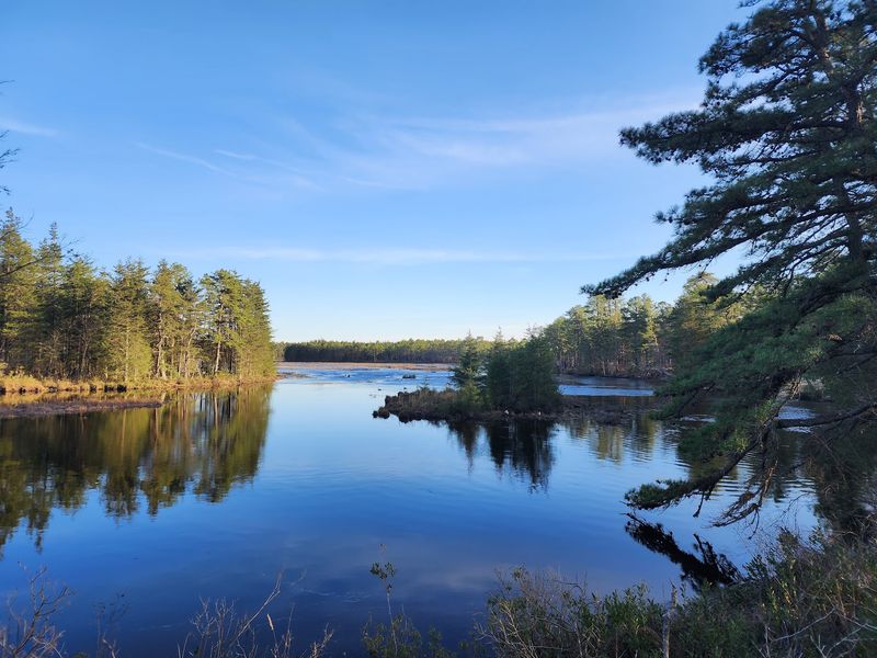 Wharton State Forest - Hammonton