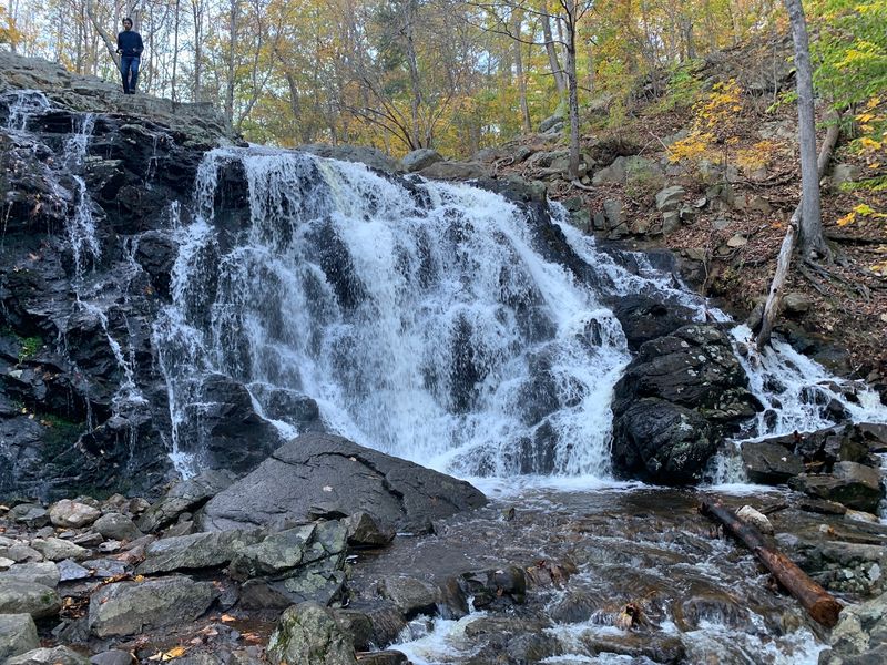 What Hikers Should Know Before Setting Out