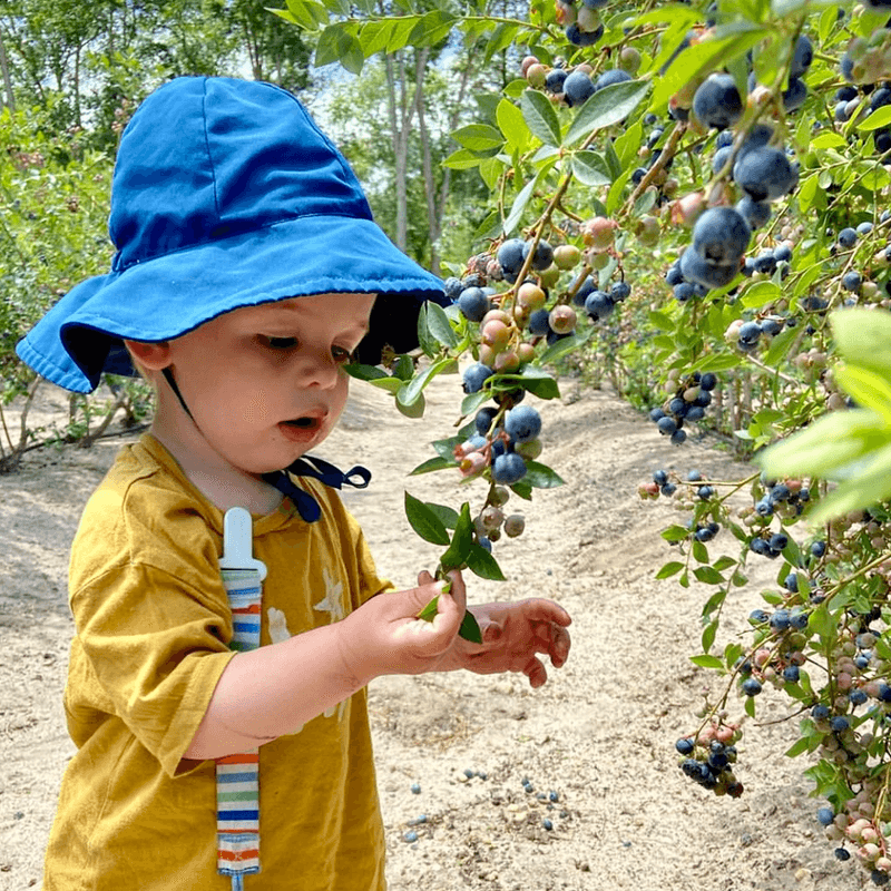 What It’s Really Like to Spend a Summer Day at DiMeo Farms