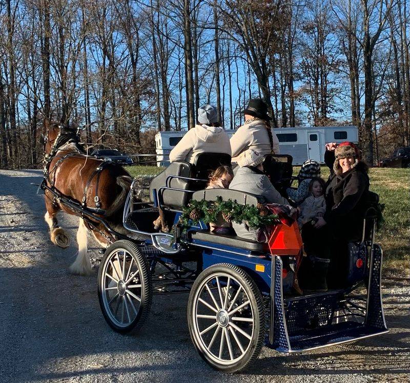 What to Know Before Planning Your Tennessee Carriage Ride