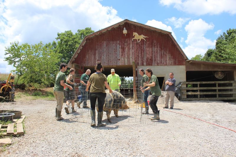 What to Know Before Visiting This Unique Tennessee Refuge What to Know Before Visiting This Unique Tennessee Refuge