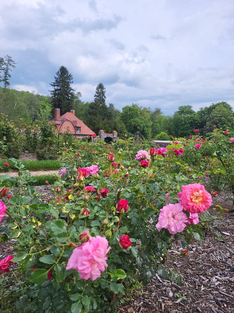 When To Catch The Best Blooms When To Catch The Best Blooms