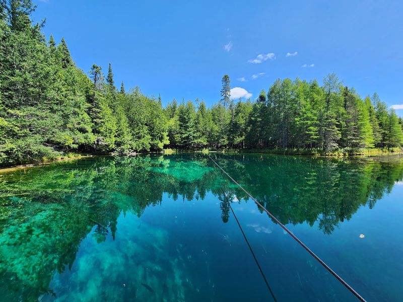 Where Michigan Pines Meet Lakeside Calm