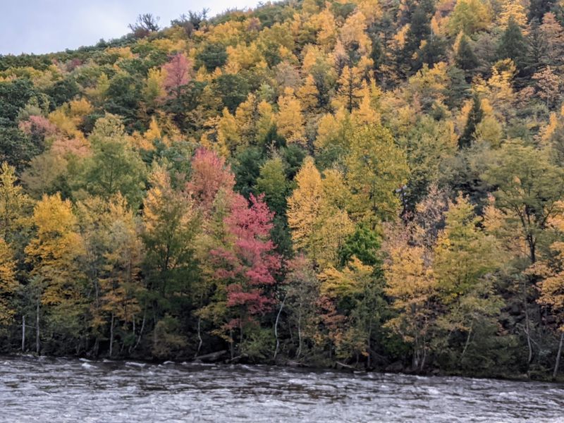 Whitewater Rafting On The Lehigh River Whitewater Rafting On The Lehigh River