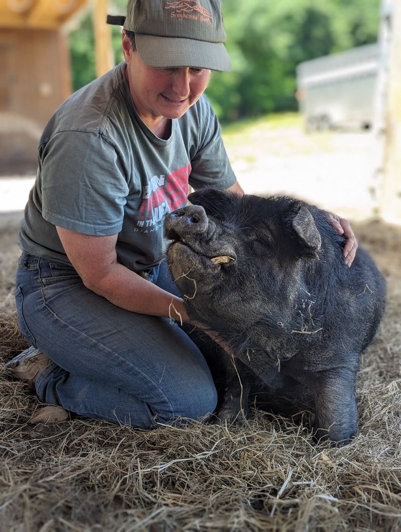 Why Animal Lovers Make the Trip to Jamestown Why Animal Lovers Make the Trip to Jamestown