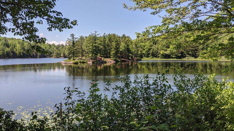 Why Echo Lake Stands Out in a State Full of Water