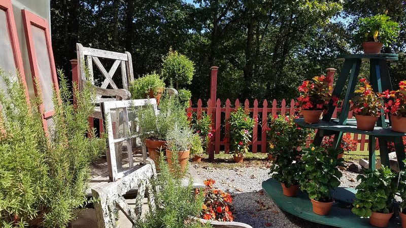 Why Erin's Meadow Herb Farm Belongs on Your Tennessee Day-Trip List