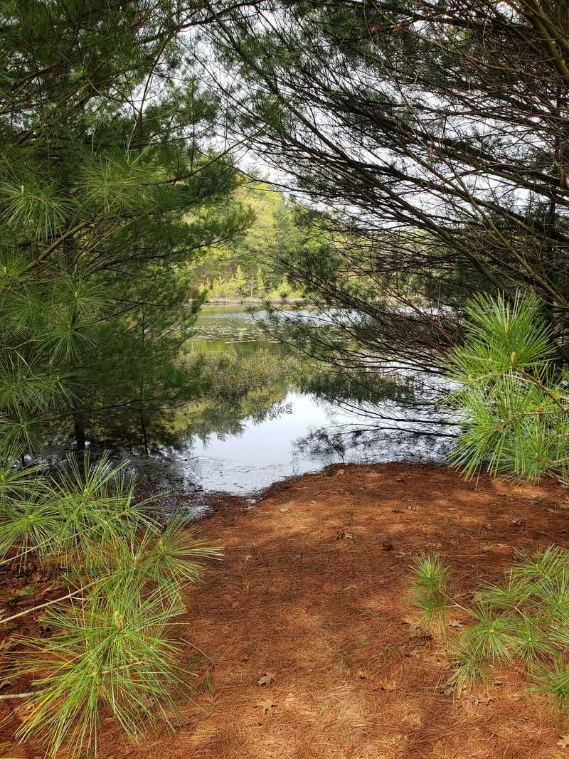 Why Lost Lake Trail Deserves a Spot on Your Michigan List Why Lost Lake Trail Deserves a Spot on Your Michigan List