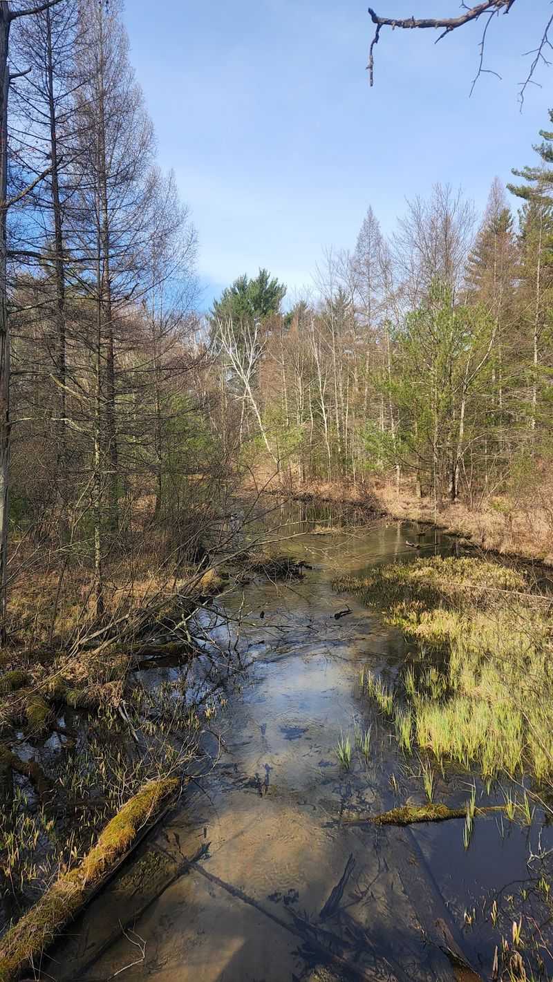 Why North Country Trail Stands Apart Why North Country Trail Stands Apart