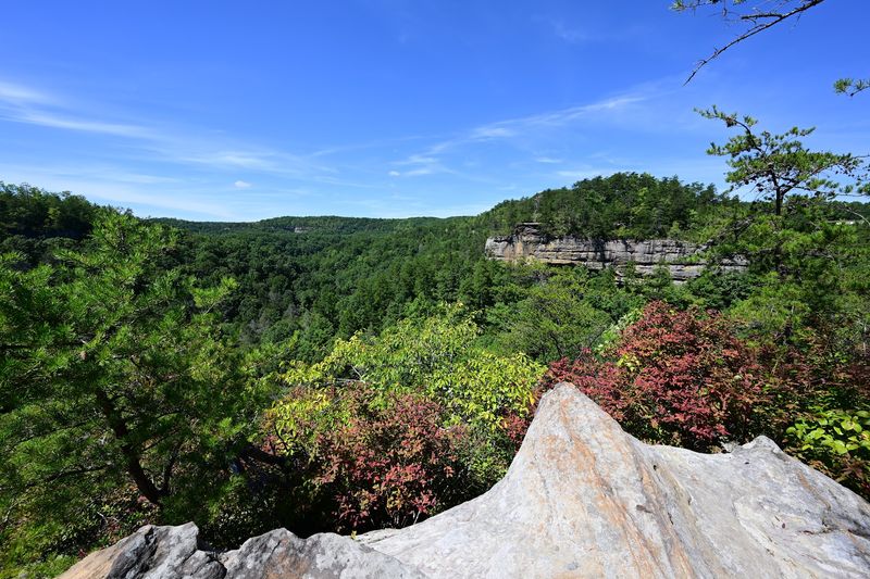 Why Pogue Creek Canyon Deserves a Spot on Your Tennessee Road Trip