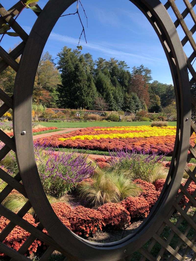 Why The Garden Feels Worth Remembering Why The Garden Feels Worth Remembering