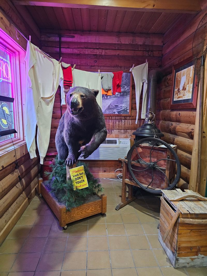 Why The Lumberjack Theme Actually Works