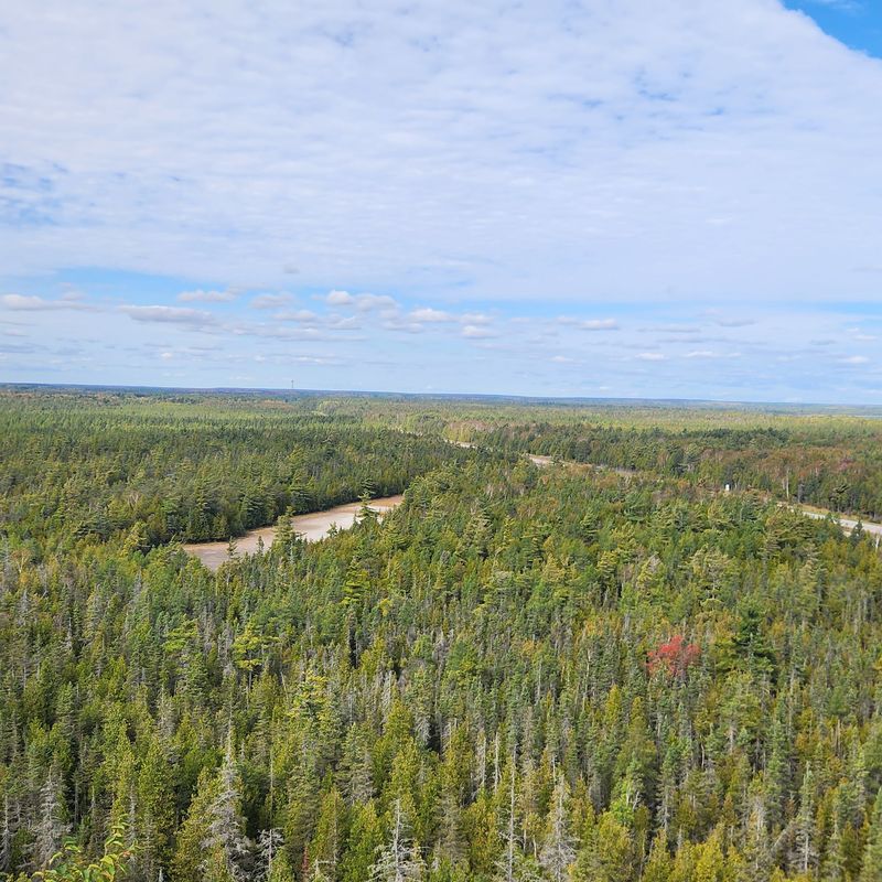 Why This Forest Campground Outshines the Usual Summer Stop
