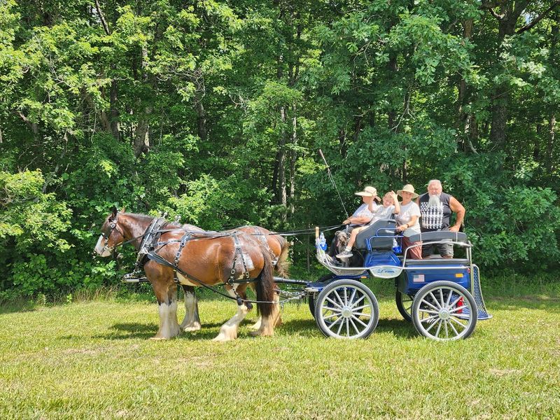 Why This Outing Feels Like Stepping Back in Time