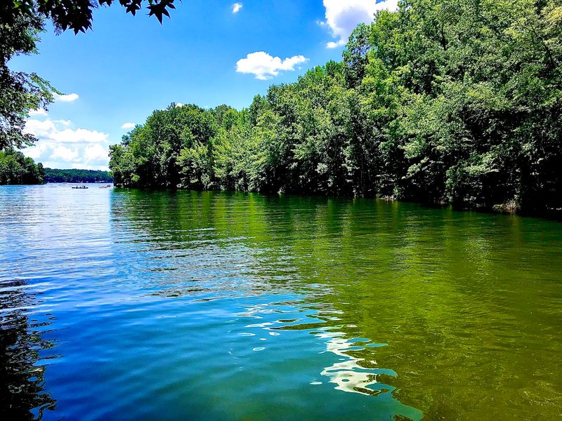 Why Tims Ford Lake's Limestone-Fed Water Is So Special Why Tims Ford Lake's Limestone-Fed Water Is So Special