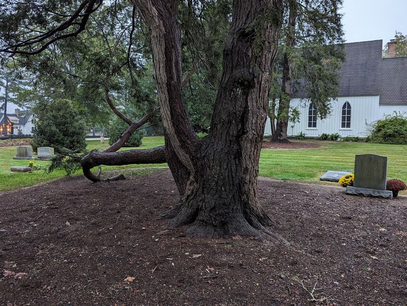 Why Walking Through St. Mary’s Feels Like Stepping Back in Time