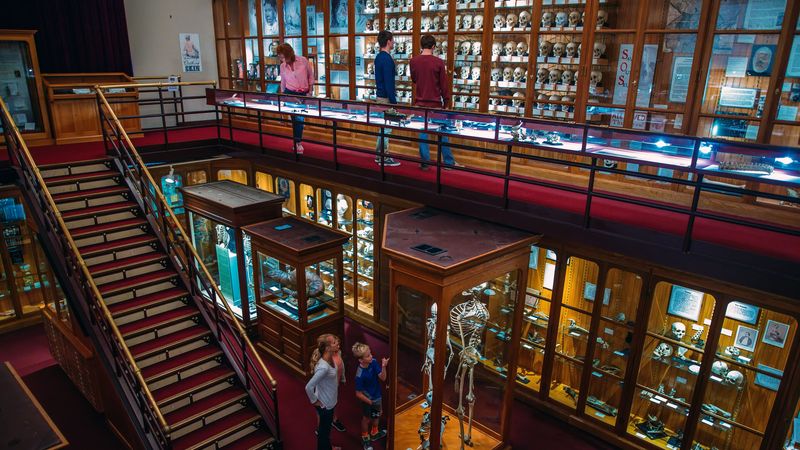 Why the Museum Feels So Unforgettable Why the Museum Feels So Unforgettable